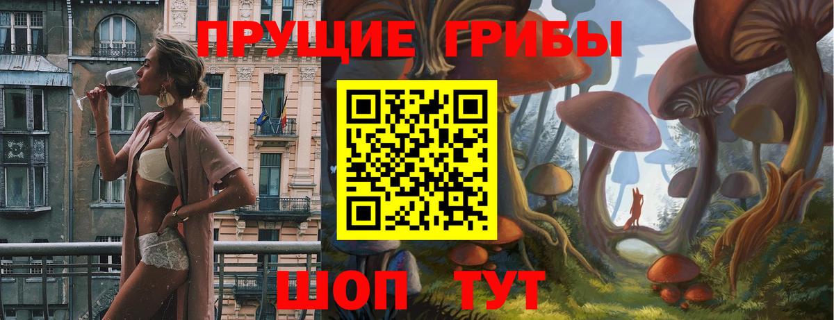 Псилоцибиновые грибы GOLDEN TEACHER  Вход с VPN  Галлюциногенные грибы Psilocybine cubensis  Изобильный 