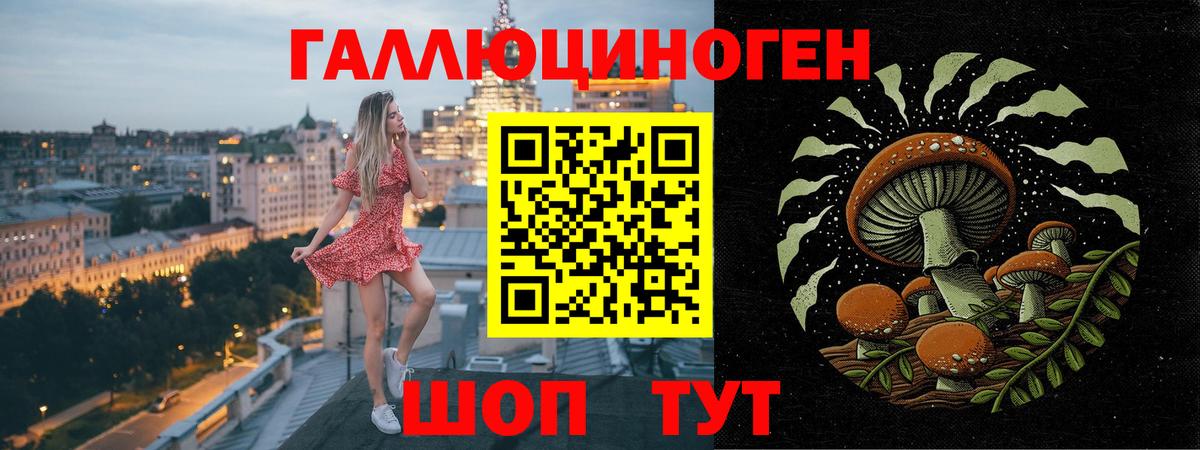 Псилоцибиновые грибы прущие грибы Изобильный